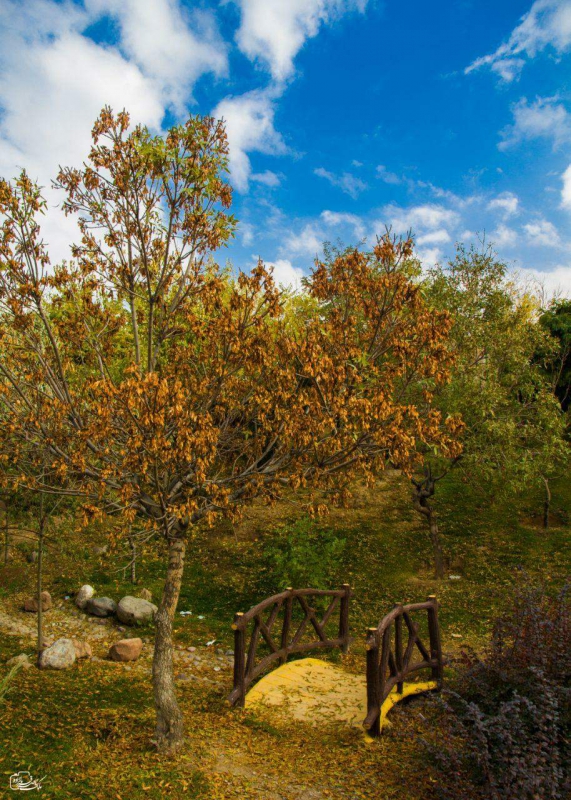 یک روز پاییزی